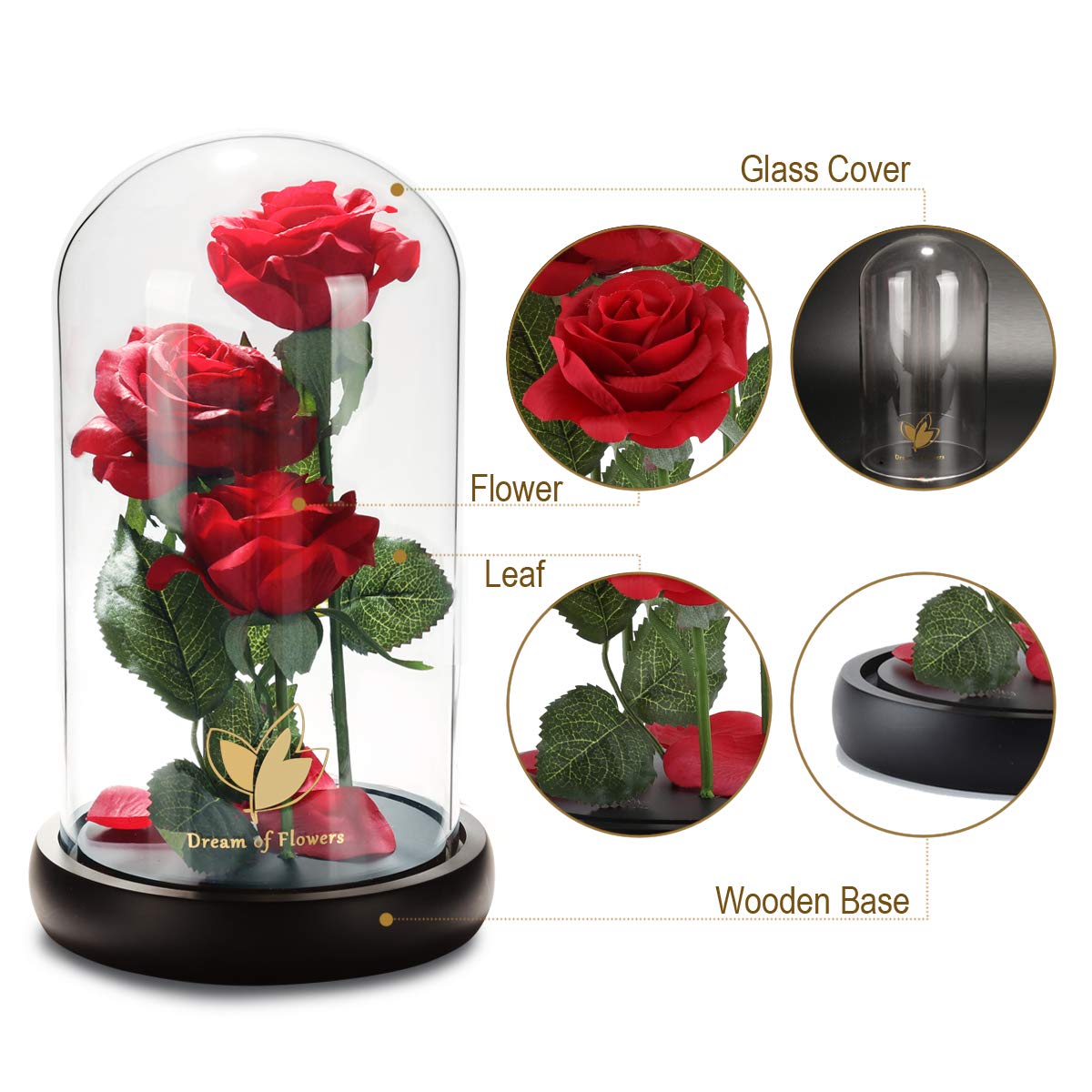Beauty and The Beast Rose - Classic Red LED Rose with Falling Petals in Glass Dome, Romantic Birthday Gift for Women, Mom & Her | Perfect for Valentine's Day, Anniversaries & Home Decor