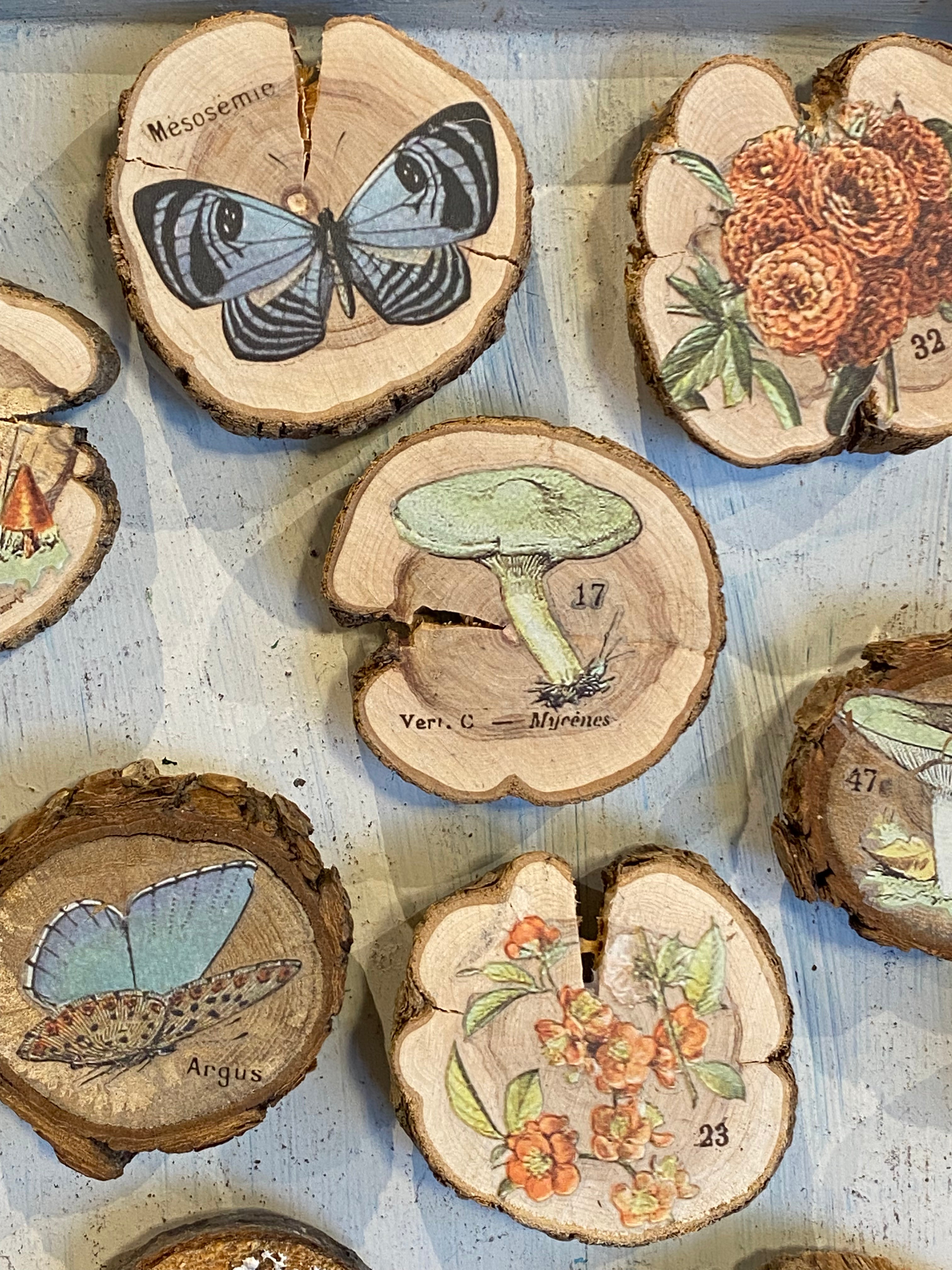 Natural Wood Slice Magnets for Refrigerator - Rustic DIY Home Decor, Craft Projects & Office Organization - Perfect for Fridge Notes, Photos & Memos