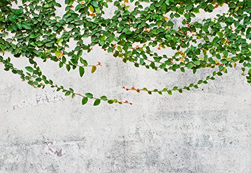 Green Vines Draping