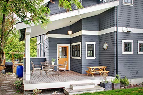 THE ONE Paint & Primer: Most Durable All-in-One Interior & Exterior Paint for Furniture, Cabinets, Doors, Walls - Fast Drying Water-Based Paint (Grey, Gloss, 8.5oz) - Perfect for Kitchen, Bathroom, DIY Home Projects & Crafting