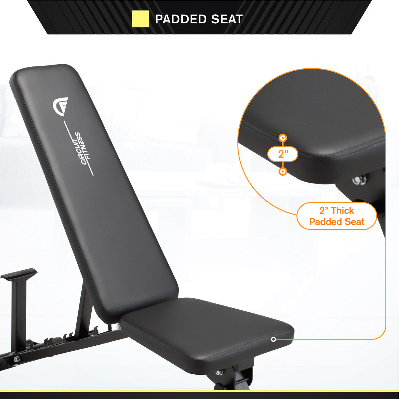Adjustable Weight Bench for Home Gym - 6-Position Incline/Decline Workout Bench with Leg Holders | Perfect for Strength Training, Dumbbell Exercises & Full-Body Workouts - Circuit Fitness AMZ 617BN
