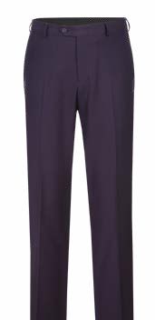 Alessandro Vitello by Renoir 2-Piece Slim Fit Eggplant Purple Suit for Men - Perfect for Weddings, Business Meetings & Formal Events