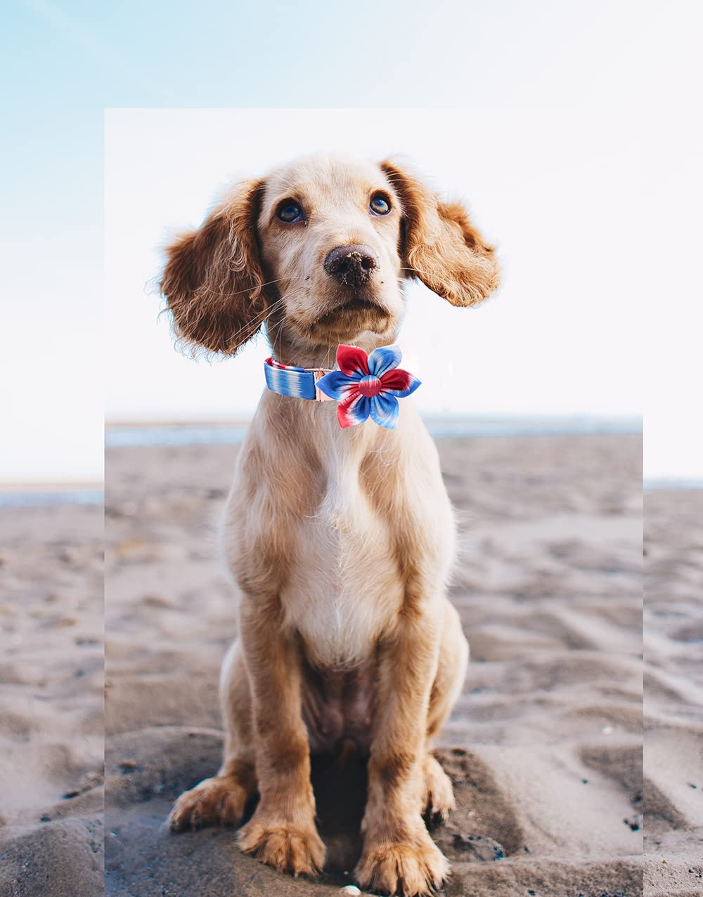 DOGWONG Tie Dye Cotton Dog Collar with Flower Pattern - Adjustable, Comfortable & Durable Pet Collar for Small, Medium & Large Dogs - Perfect for Walks, Training & Outdoor Adventures