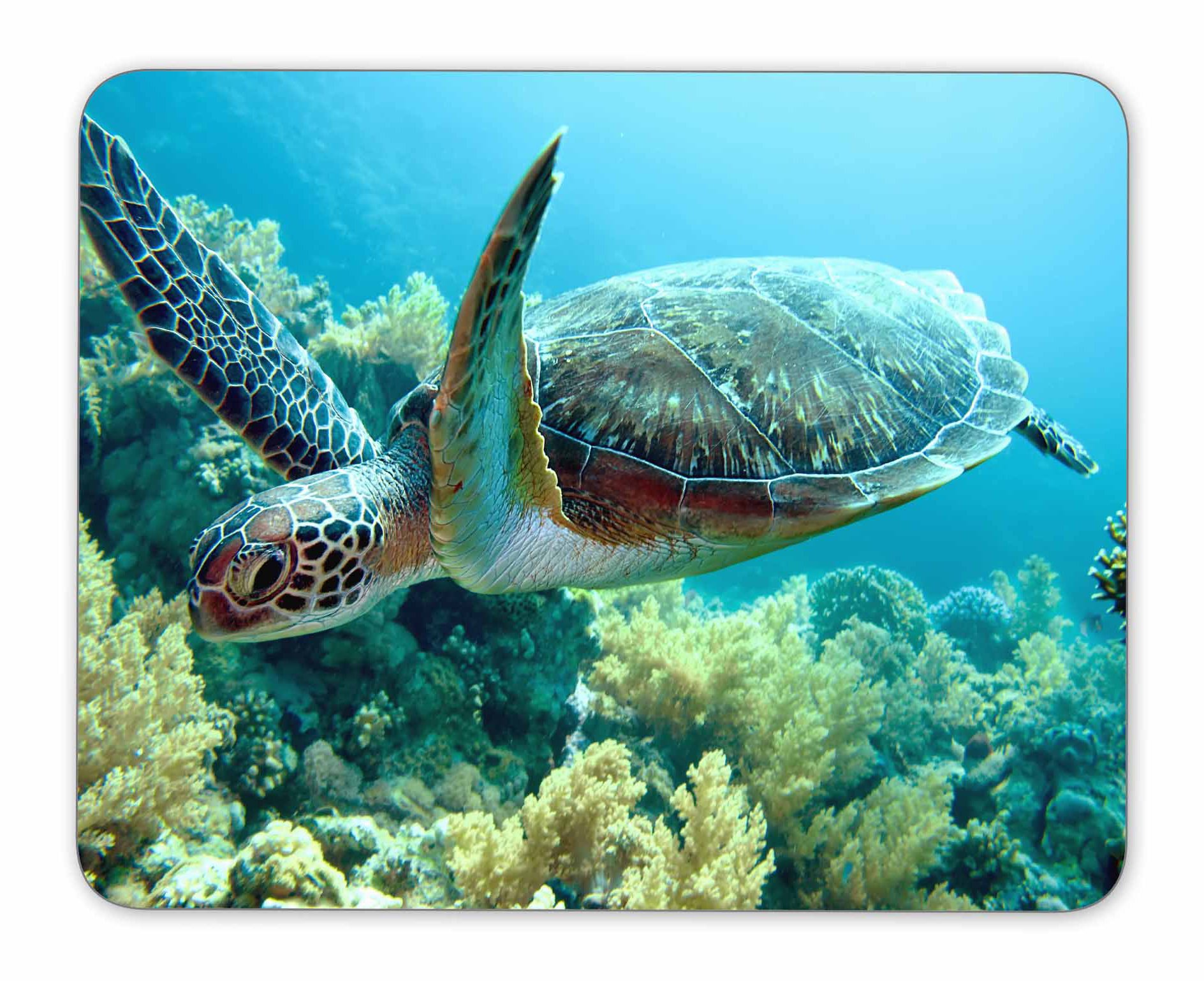 Eco-Friendly Green Sea Turtle Mouse Pad - Natural Rubber Non-Slip Desk Mat with Wrist Support (9.5