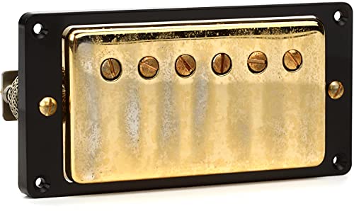 Gold Cover