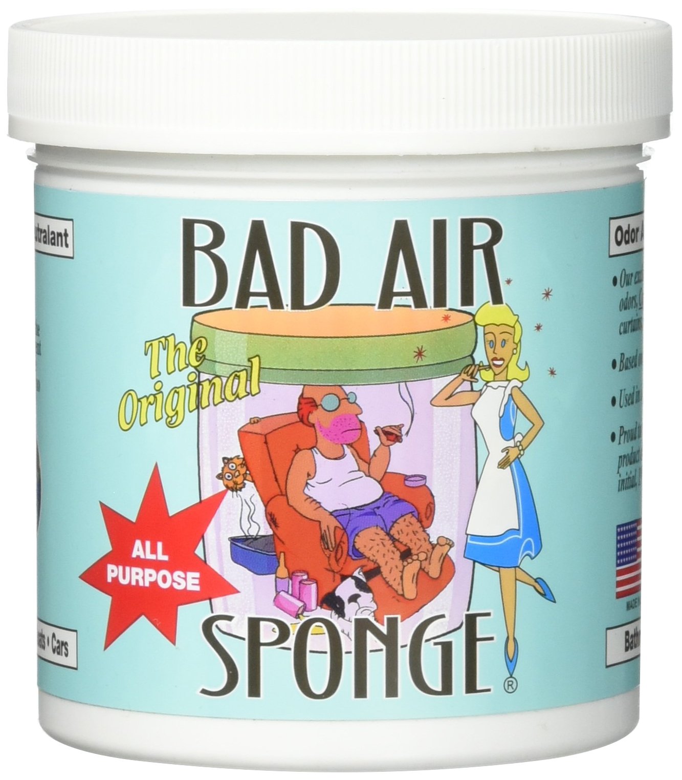 Best Air Sponge for Eliminating Bad Odors - Long-Lasting Odor Absorber for Home, Car, Closet & Pet Areas