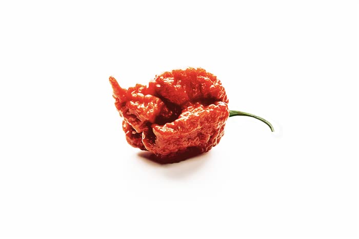 Premium Whole Dried Carolina Reaper Peppers - 25 Count - World's Hottest Chili Peppers for Cooking, Hot Sauce Making & Spicy Food Lovers - Perfect for BBQ, Chili, and Gourmet Recipes