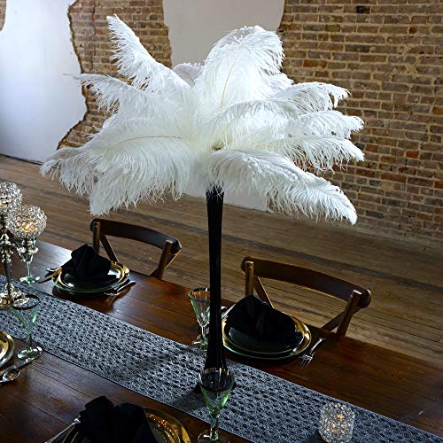 Black Vase/White Feathers