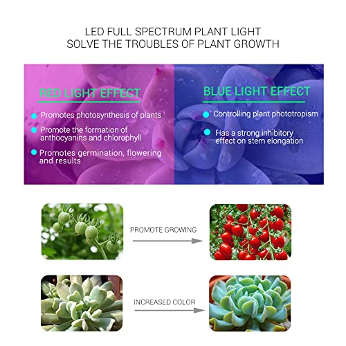 Fengyan LED COB Grow Light - 20W 30W 50W Full Spectrum Plant Light for Indoor Gardening, Hydroponics & Greenhouses | AC 110V-220V Phyto Lamp for Grow Tents, Street Lighting & Landscape Illumination