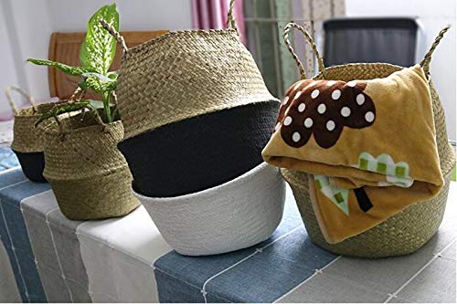 Natural Woven Seagrass Storage Basket with Handles - Boho Home Decor, Bathroom Organizer, Laundry & Picnic Basket - Perfect for Toys, Groceries & Household Storage (15 Inch)