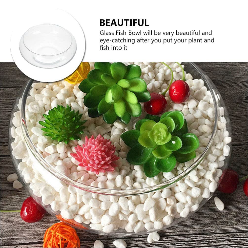 Zerodeko Clear Glass Fish Bowl - Hydroponic Plant Pot, Lotus Hydroponic Container, Small Round Aquarium for Goldfish & Betta Fish | Perfect for Home Decor, Office Desk, and Indoor Gardening
