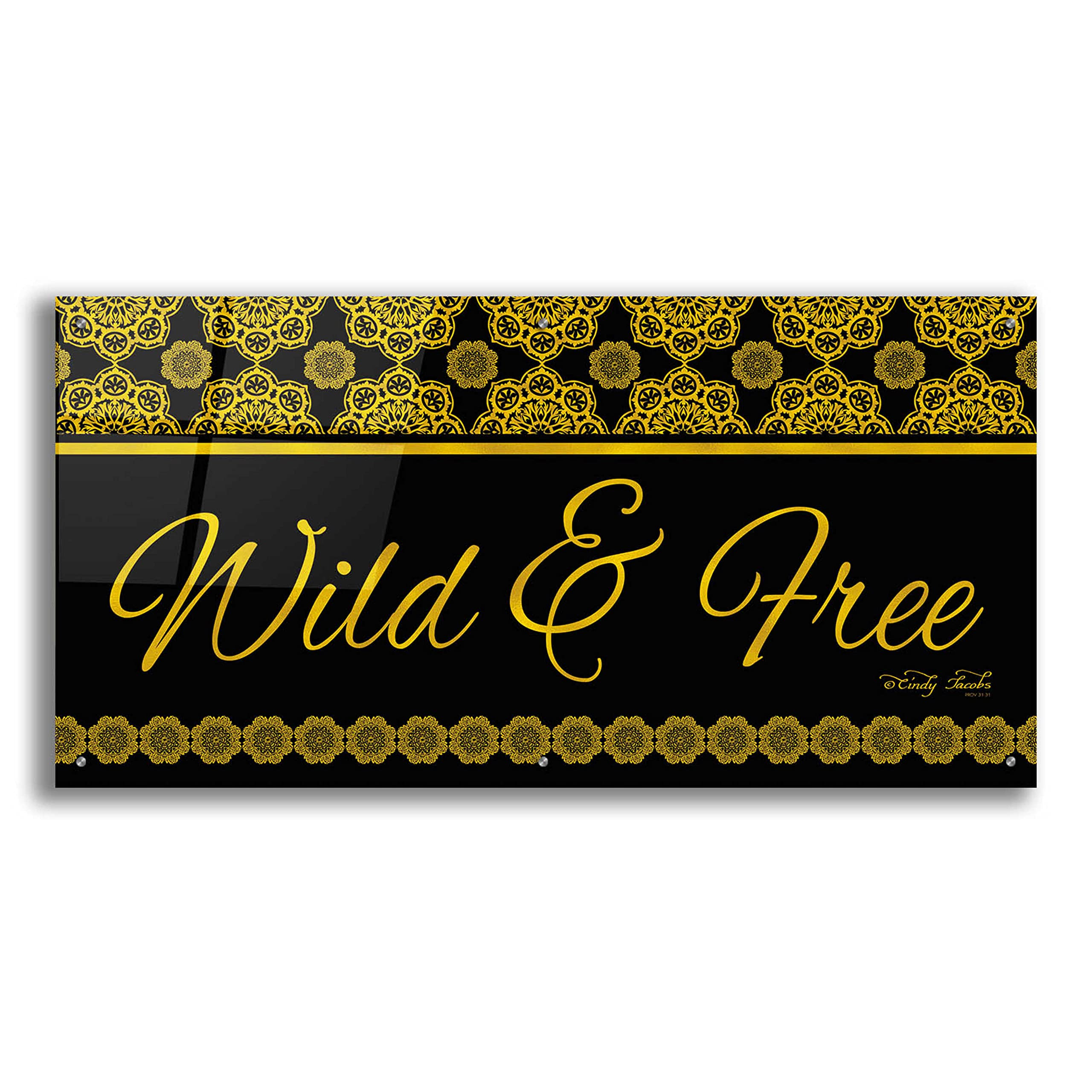 Wild and Free Mandalas Acrylic Glass Wall Art by Cindy Jacobs - 48x24 Inches Modern Abstract Painting for Home Decor, Office, Meditation Room & Yoga Studio