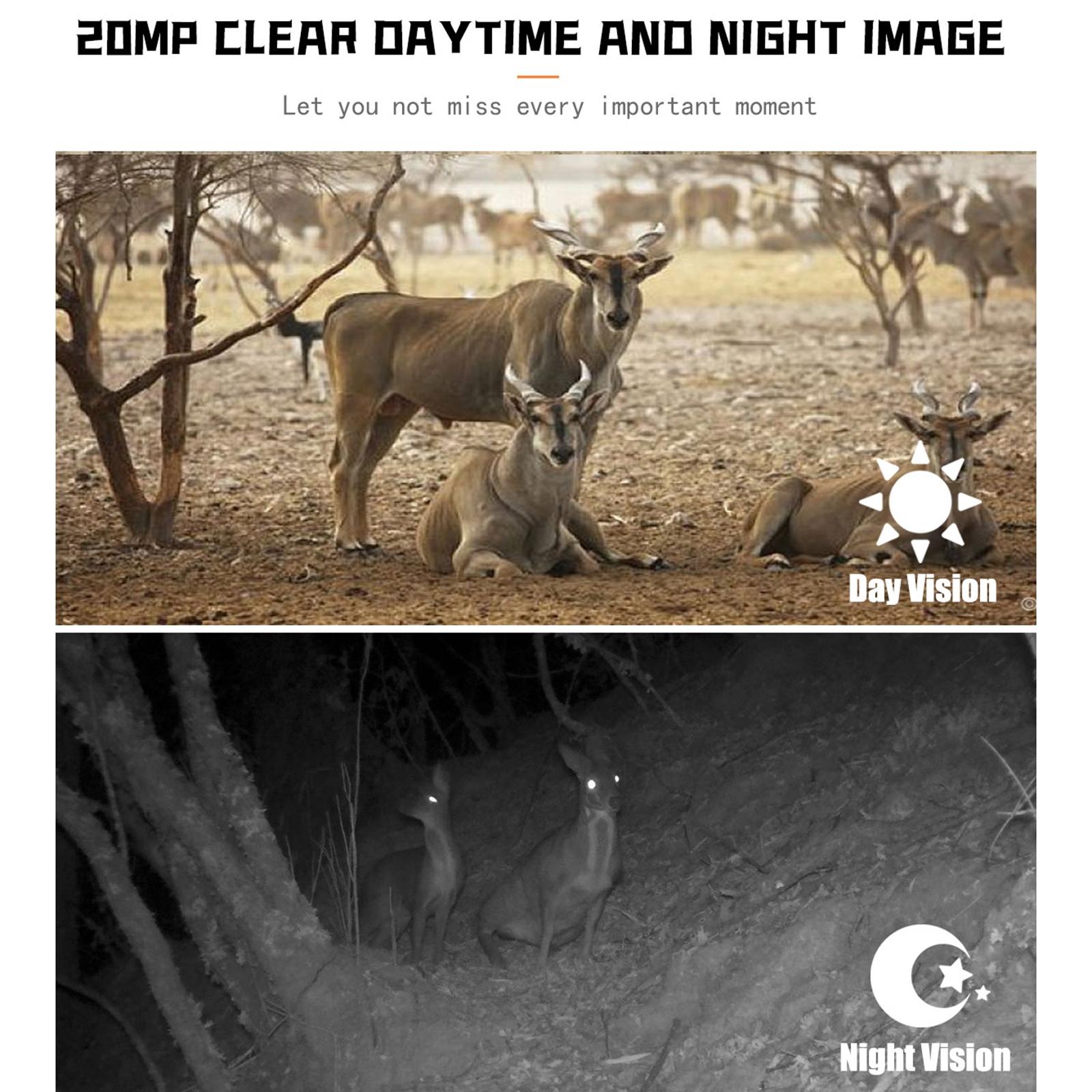 1080P HD Night Vision Hunting Camera - Waterproof Wildlife Trail Camera for Outdoor Tracking, Hunting & Security Surveillance - Perfect for Camping, Wildlife Monitoring & Home Security