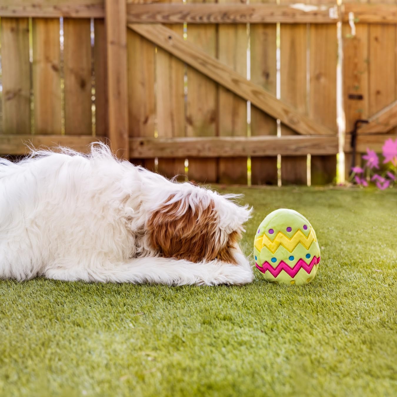 Midlee Easter Egg Dog Toy - Small Green Chew Toy for Puppies & Small Dogs - Durable & Safe for Indoor & Outdoor Playtime