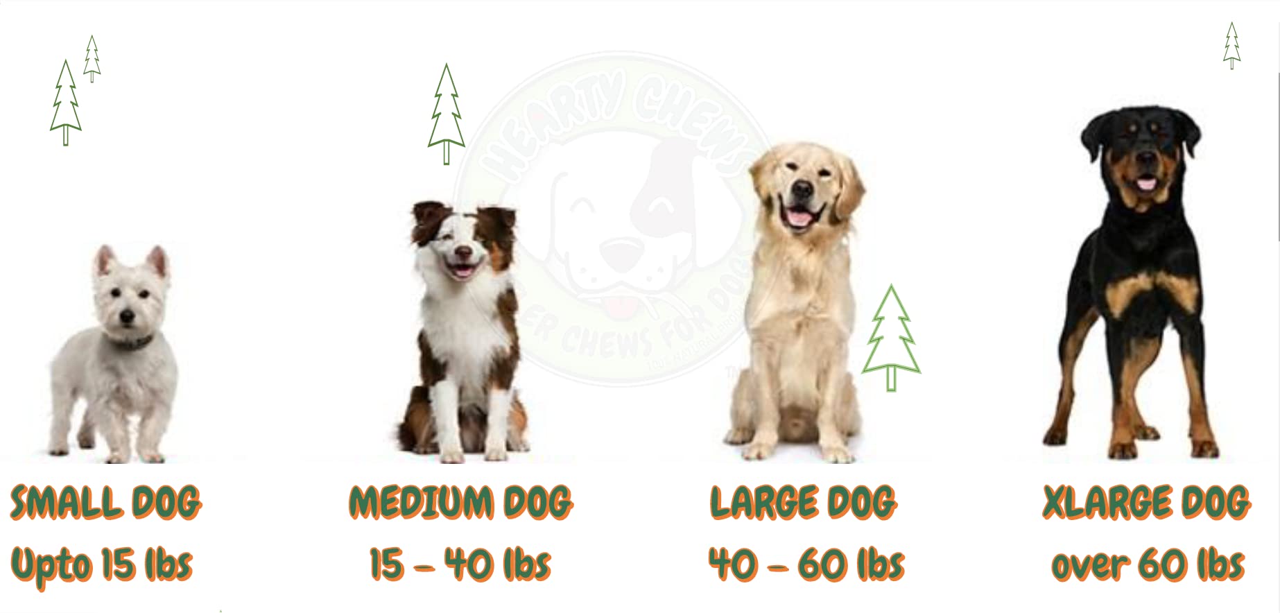Premium Grade A Elk Antler Chews for Dogs - 100% Organic & Natural Dog Treat - Long-Lasting Dental Chew for Puppies & Adult Dogs - Medium Split (5-6 Inches) - Perfect for Teething Relief & Dental Health
