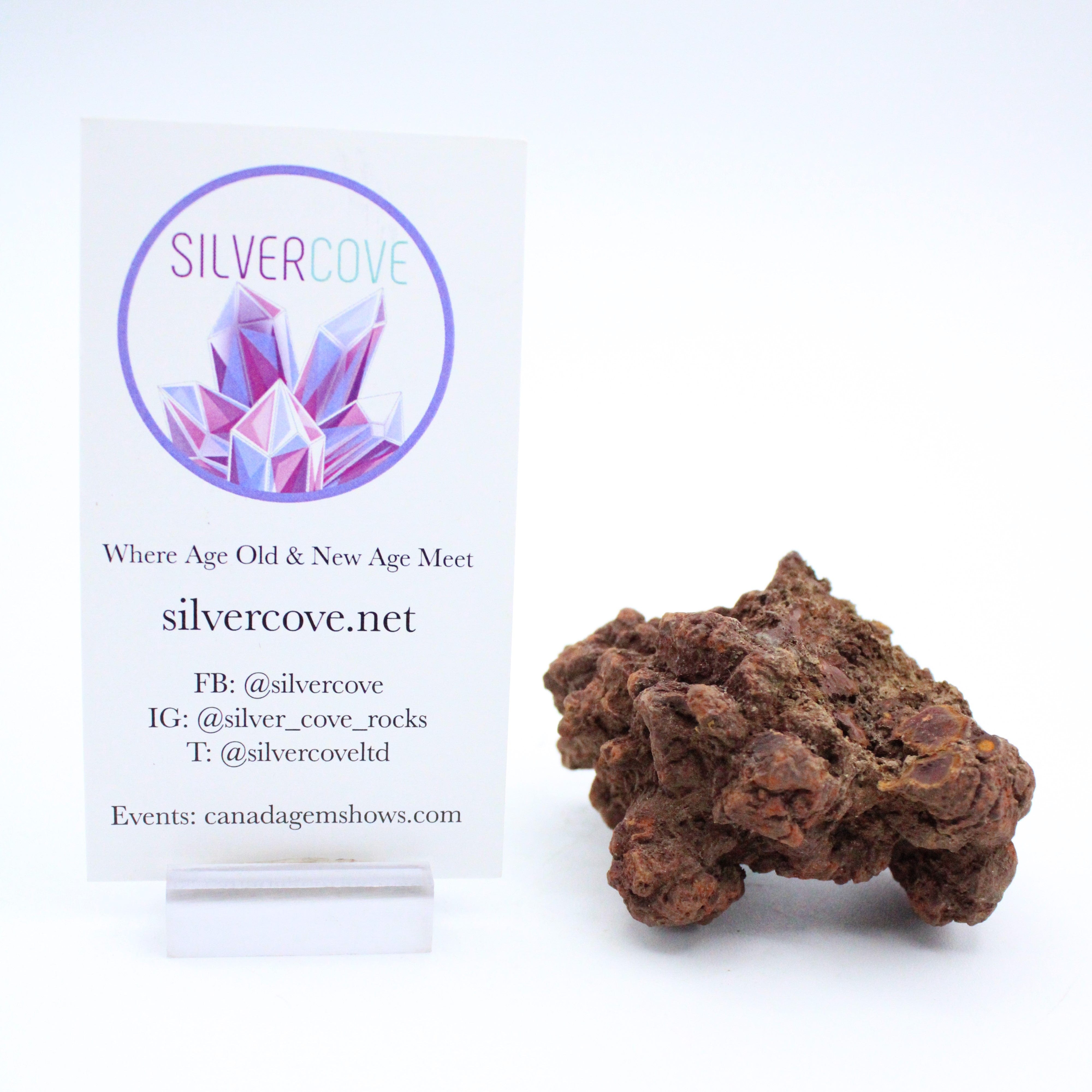 Authentic Coprolite Fossil Specimen - Dinosaur Poop Fossil for Collectors & Science Enthusiasts - Perfect for Educational Displays & Paleontology Gifts
