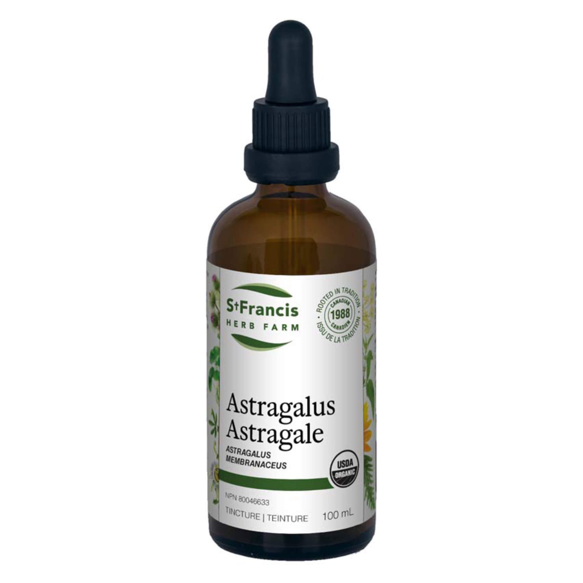 Organic Astragalus Root Powder (Astragalus membranaceus) - Immune Support Supplement for Energy & Wellness - Perfect for Tea, Smoothies & Daily Health Routine