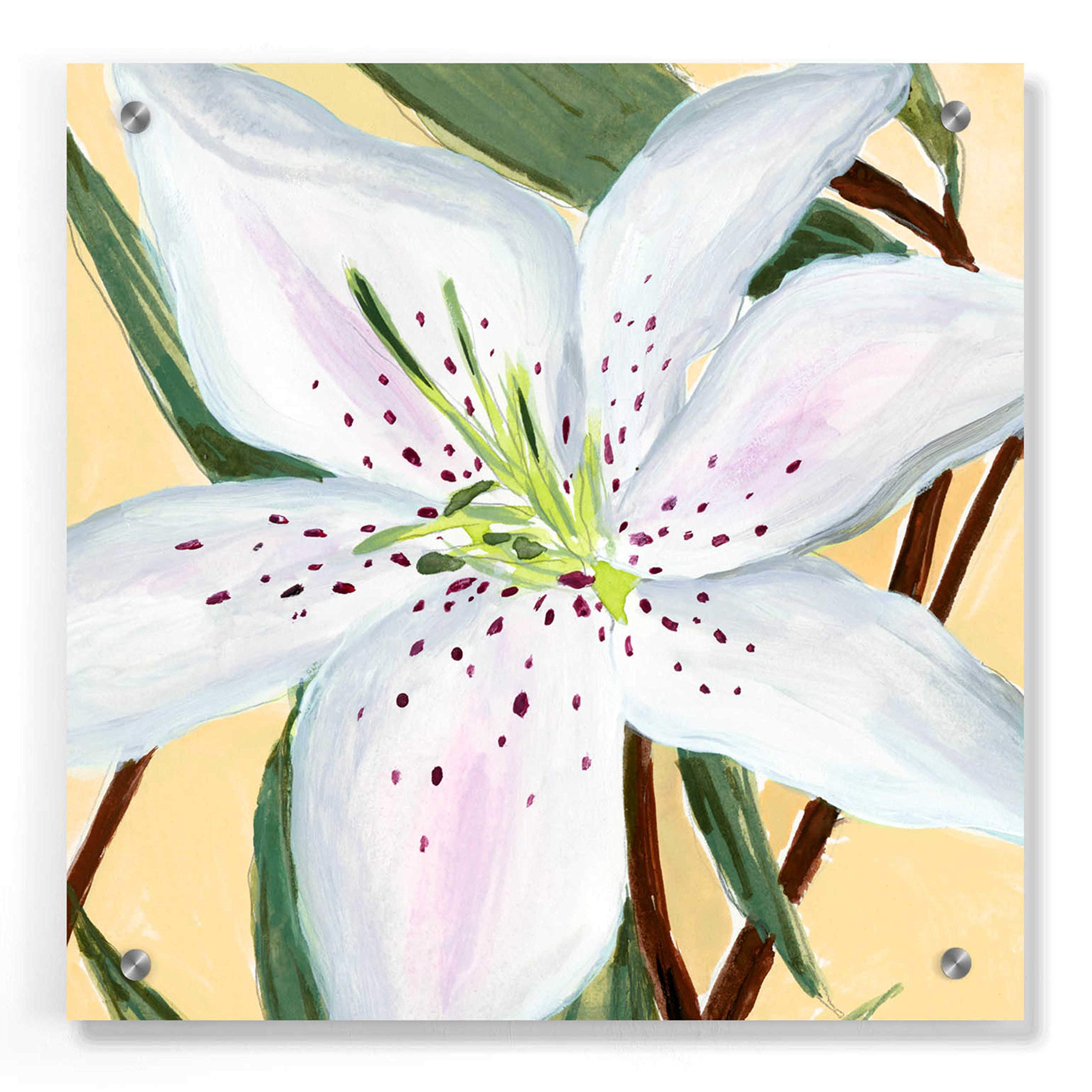 Annie Warren 'White Lily II' Acrylic Glass Wall Art - 36x36 Inches Modern Floral Painting for Living Room, Bedroom & Office Decor