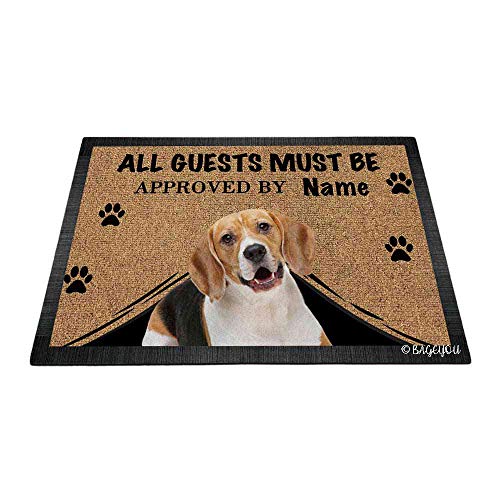 Beagle Dog
