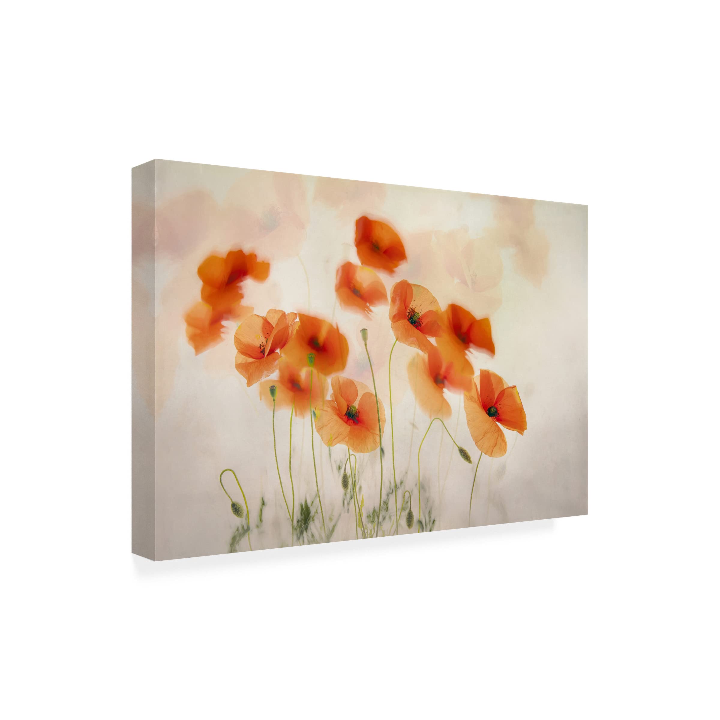 Trademark Fine Art 'Waving In The Wind' Canvas Wall Art by Nel Talen - Modern Home Decor for Living Room, Bedroom & Office