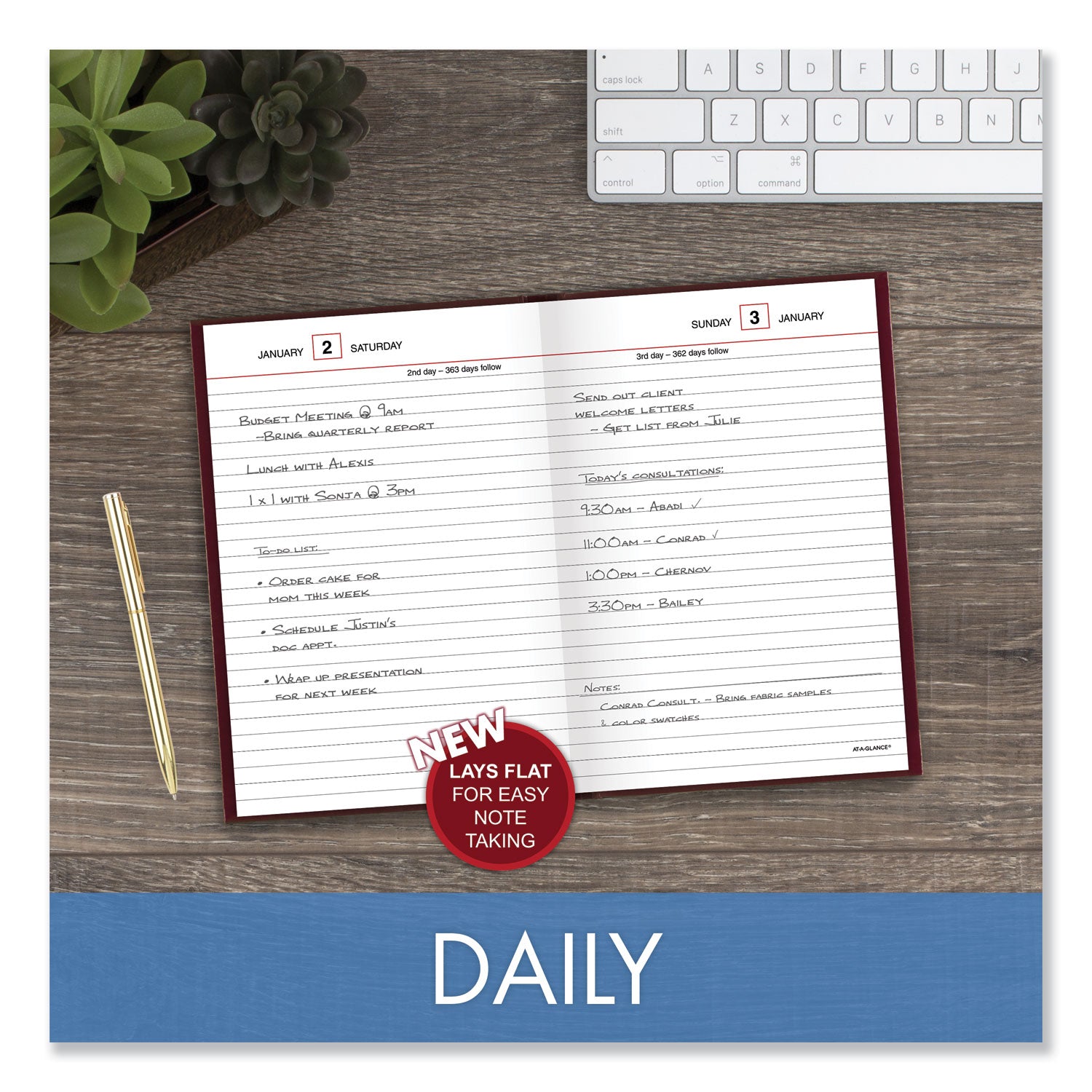 AT A GLANCE® 2025 Standard Diary Planner - Medium College Ruled Daily Reminder Notebook with Red Cover, 7.5