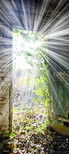 Sun Streaming Through Shed - Matte