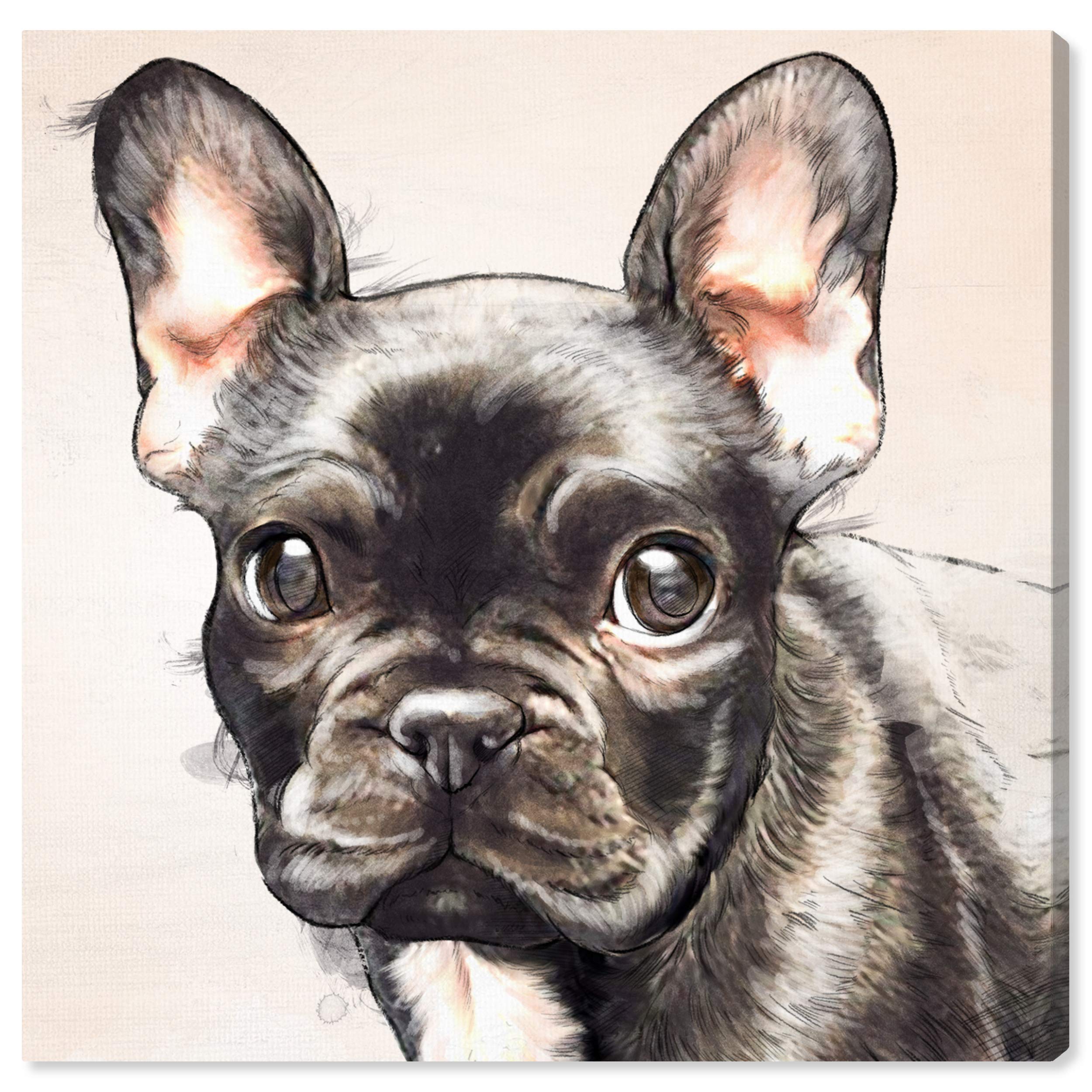 Frenchie Watercolor Canvas Wall Art - 24