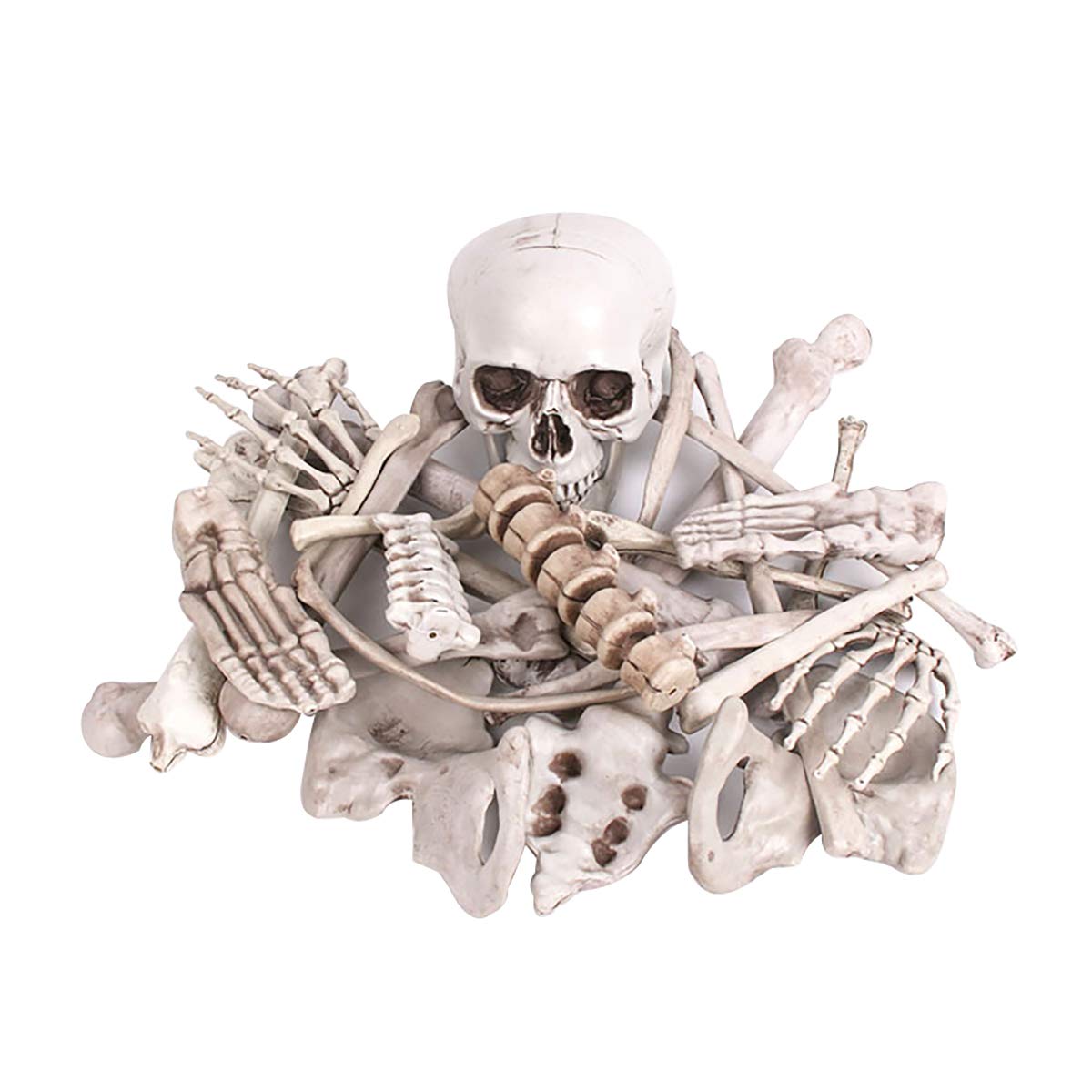 LKXHarleya 28-Piece Life-Size Skeleton Bones & Skull Set - Realistic Halloween Decorations for Spooky Graveyard Scenes, Haunted House Props, Party Supplies - Perfect for Halloween Parties, Haunted Attractions & Themed Events