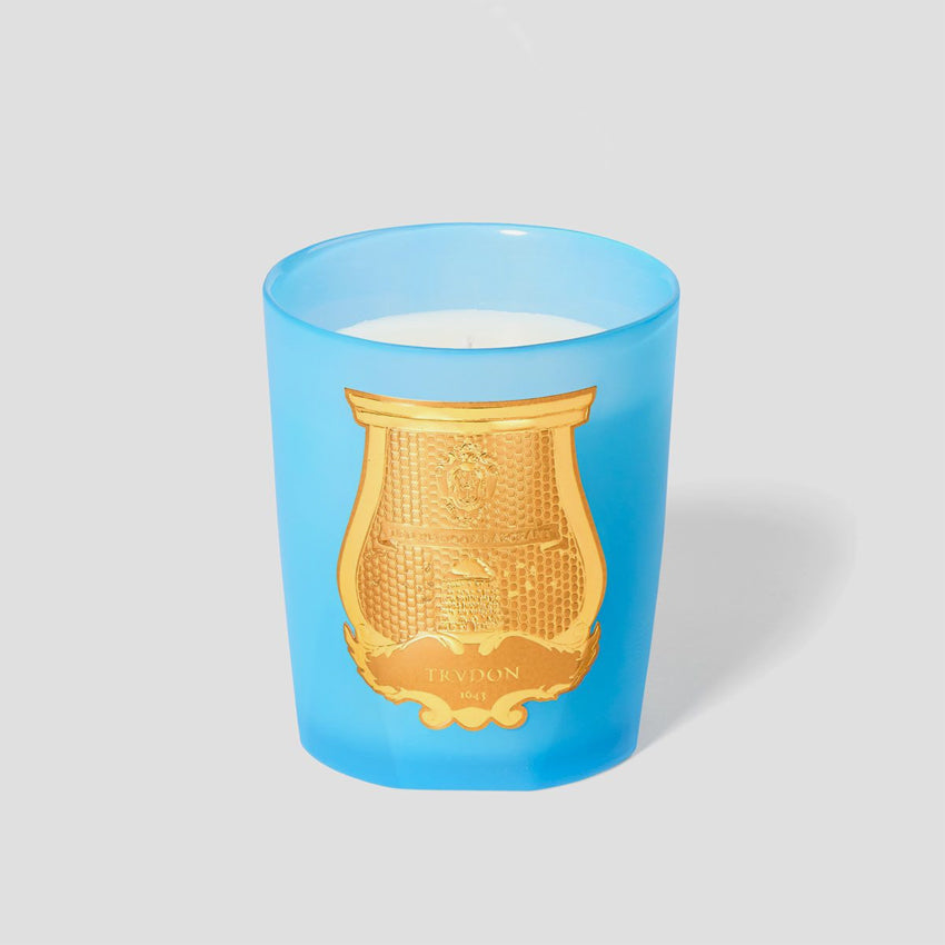 Cire Trudon Versailles Scented Candles - Luxury French Home Fragrance for Living Room, Bedroom & Bathroom | Spring Garden Scented Soy Wax Candle for Relaxation & Aromatherapy