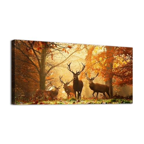 Nature Animal106