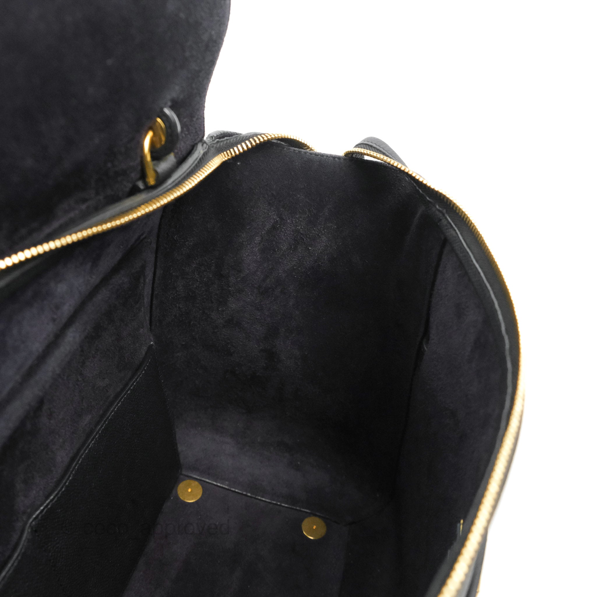 Celine Mini Belt Bag in Black Grained Calfskin with Gold Hardware - Stylish Crossbody Purse for Women, Perfect for Everyday Use & Night Out
