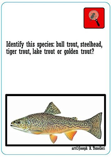 Fly Fishing Trivia Game - Fun Outdoor Party & Camping Activity for Anglers & Fishing Enthusiasts