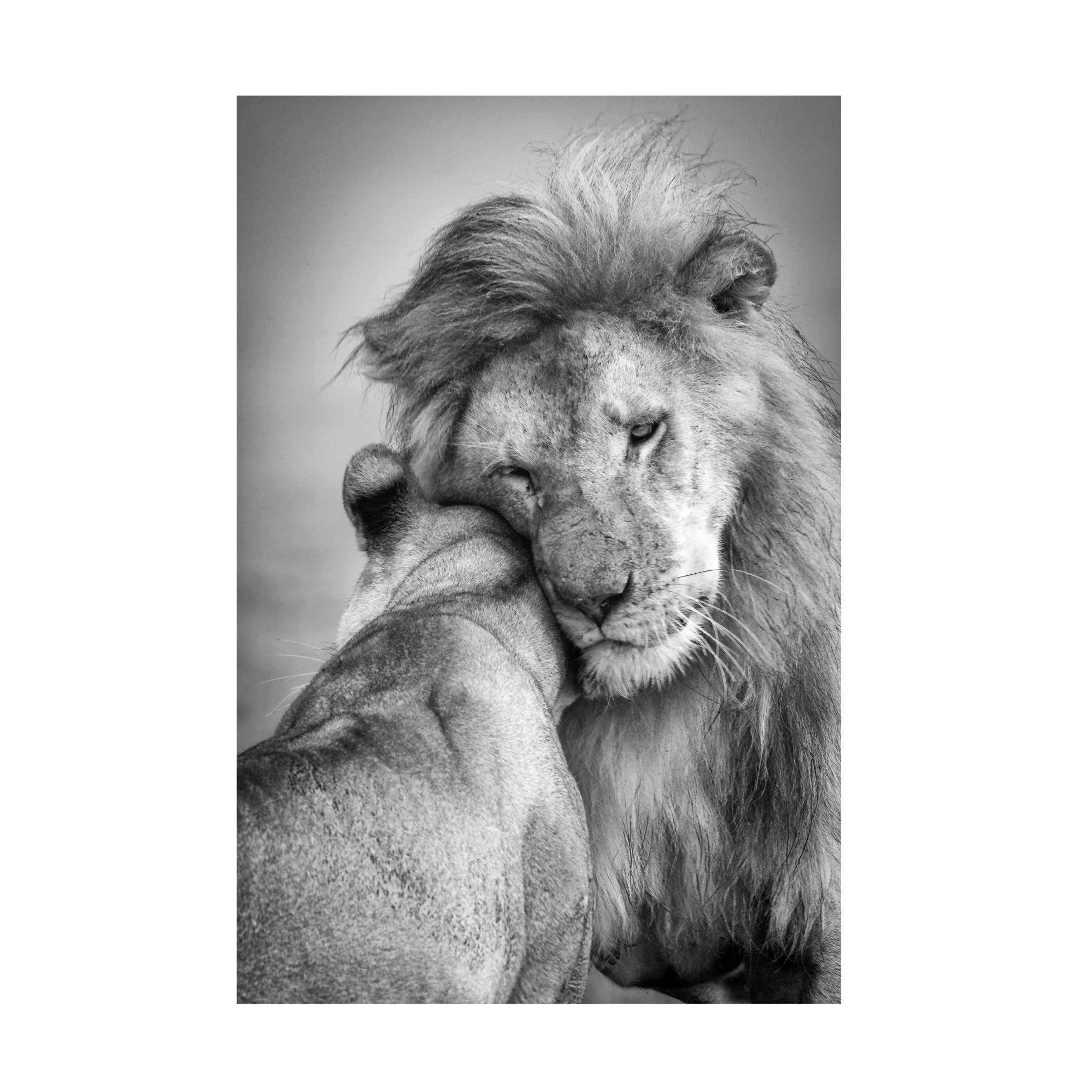 Trademark Fine Art 'African Love' Canvas Wall Art by Ali Khataw - Hand-Painted African Inspired Home Decor for Living Room, Bedroom & Office