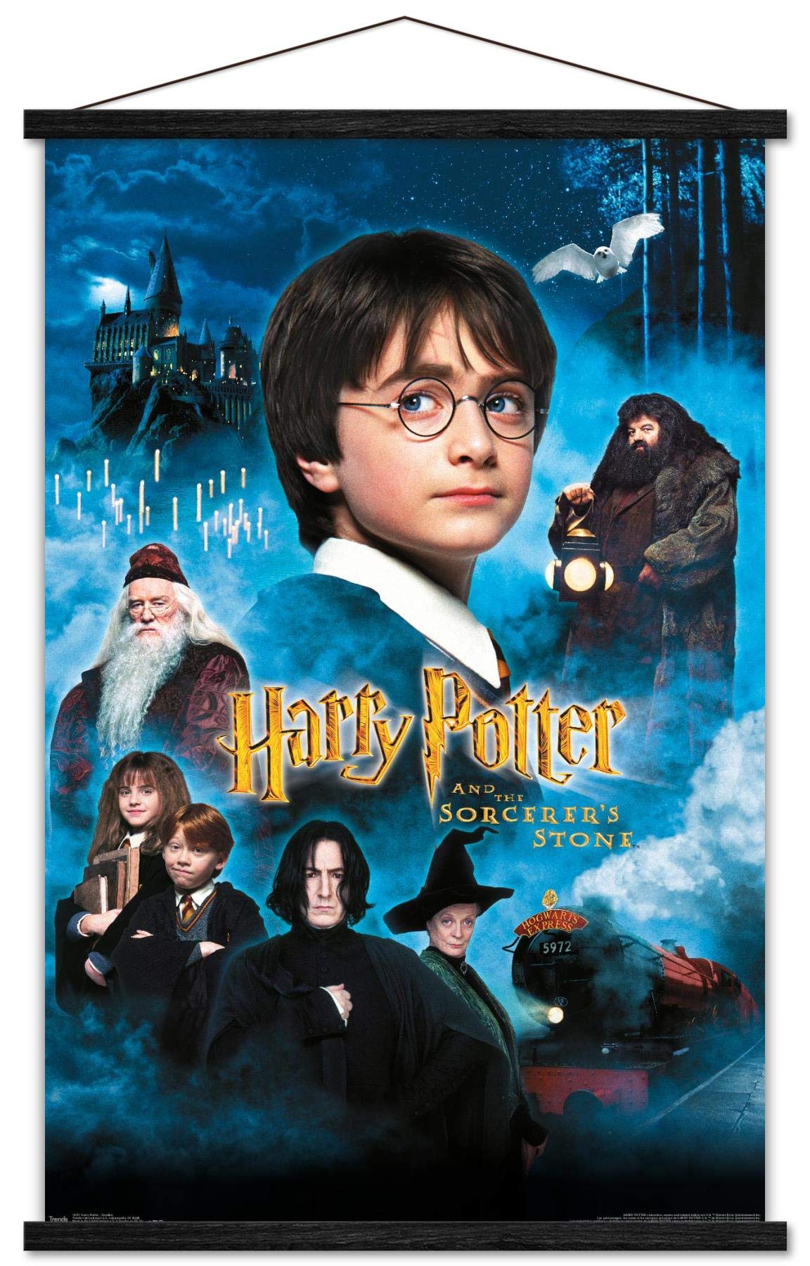 Trends International Harry Potter and the Sorcerer's Stone Wall Poster - 22.375