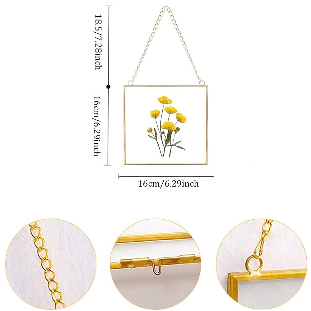 Premium Glass Photo Frame for Dried Flowers - Gold & Brass Pressed Flower Display Frame - DIY Wall Hanging Decor for Home, Wedding, or Gift - Plant Specimen & Geometric Art Display