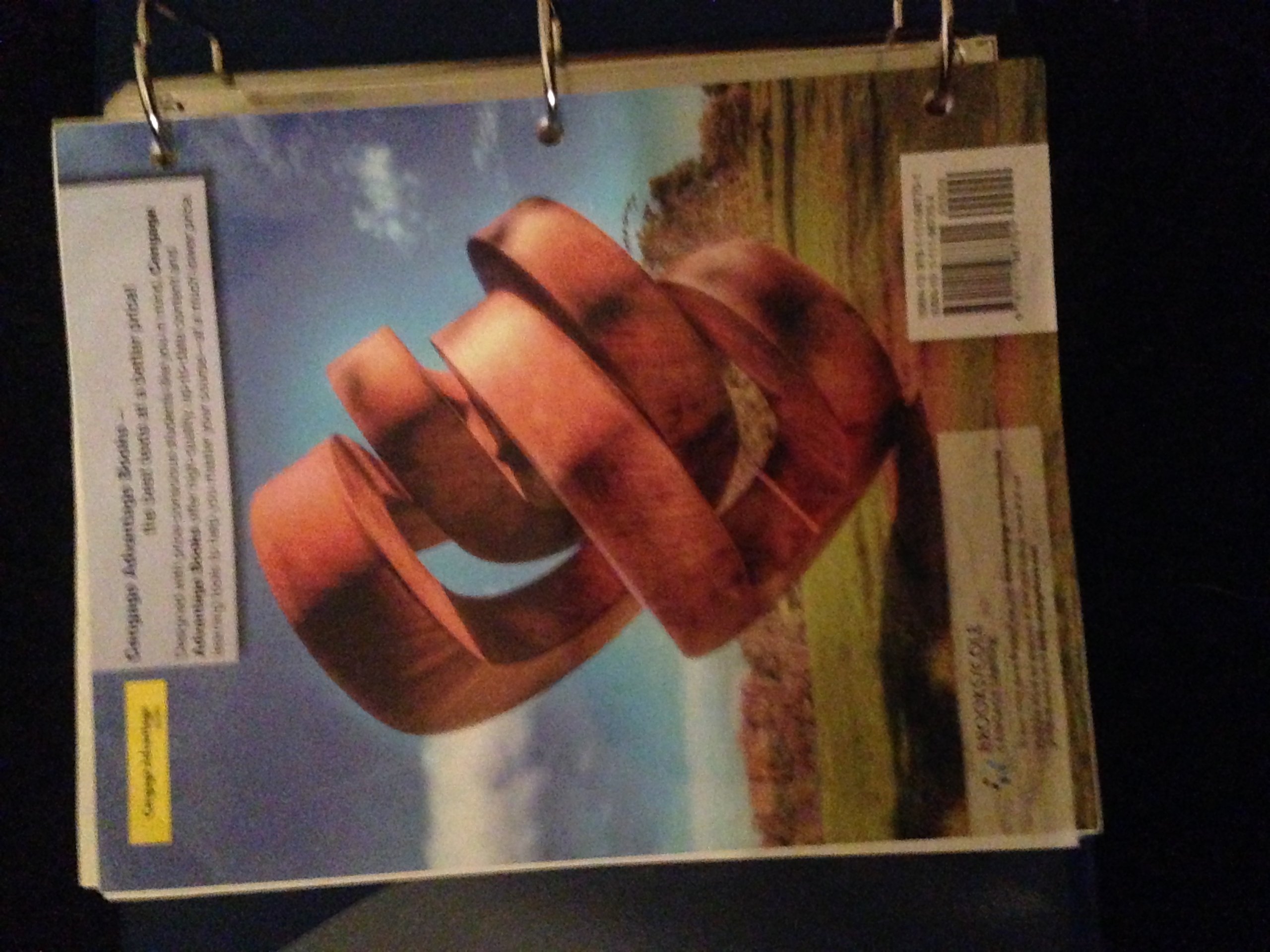Intermediate Algebra Loose-Leaf Textbook by Cengage - Ideal for College Students & Self-Study | Algebra Learning Resource for Classroom & Home Use