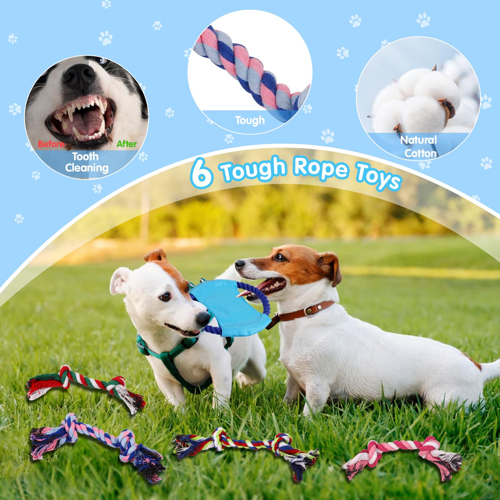 21 Pack Puppy Toys for Small Dogs - Teething & Chew Toys with Squeaky Plush & Rope for Interactive Play | Perfect for Puppy Training, Boredom Relief & Dental Health