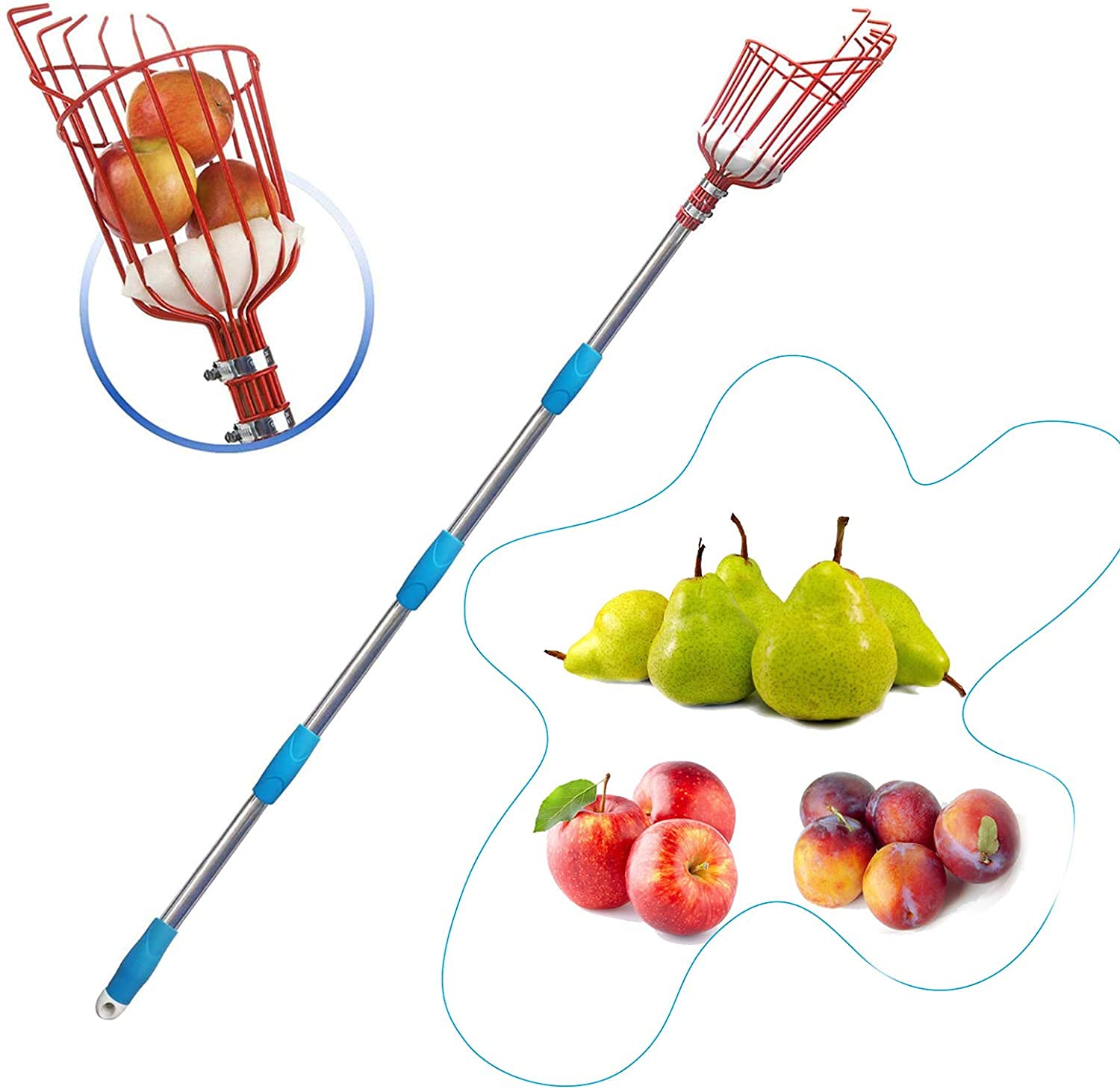HOSKO 10FT Lightweight Stainless Steel Adjustable Fruit Picker with Twist-on Basket - Perfect for Harvesting Apples, Pears, Lemons, Mangoes, Guavas, Oranges & Avocados - Ideal for Home Garden, Orchard and Farm Use