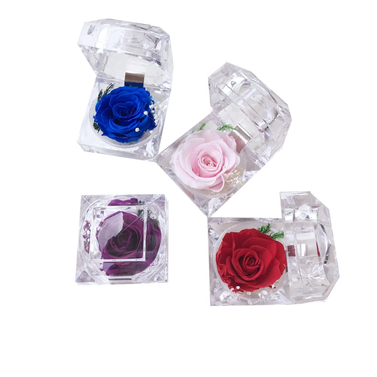 Real Preserved Rose in Mini Clear Ring Box - Eternal Flower Gift for Women, Mom, Girlfriend, Grandma | Perfect for Mother's Day, Anniversary, Valentine's, Christmas & Birthday (Purple) - Romantic Home Decor & Special Occasion Present