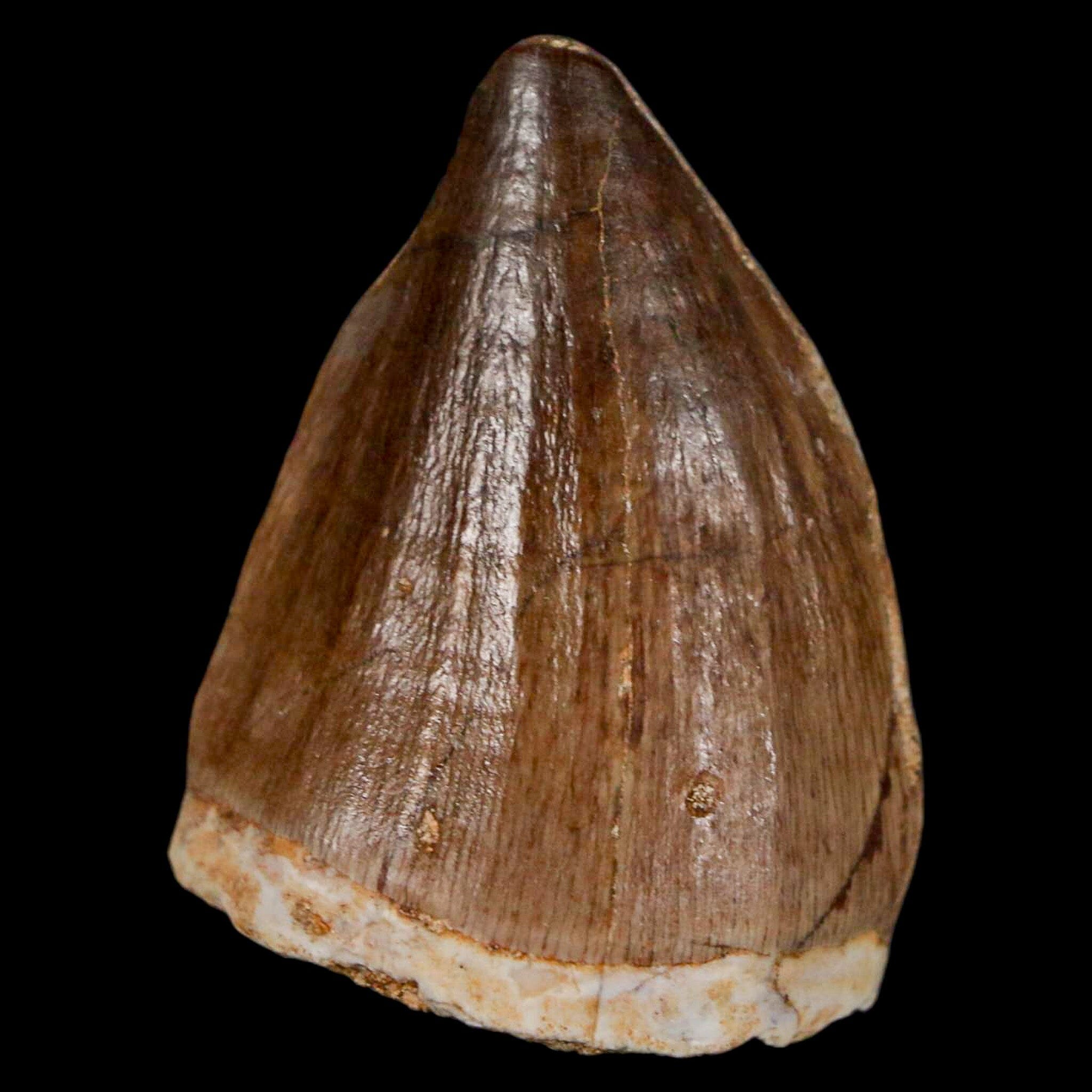 1.5