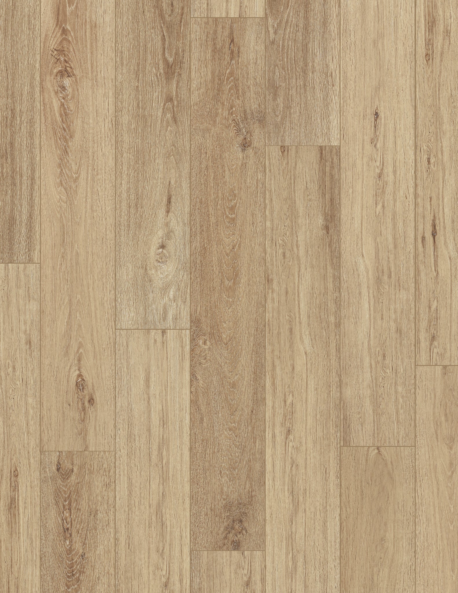 Coretec Pro Plus Enhanced Lyric Oak 7x48 Waterproof Luxury Vinyl Plank Flooring - Durable & Scratch-Resistant for Home, Office & Commercial Use