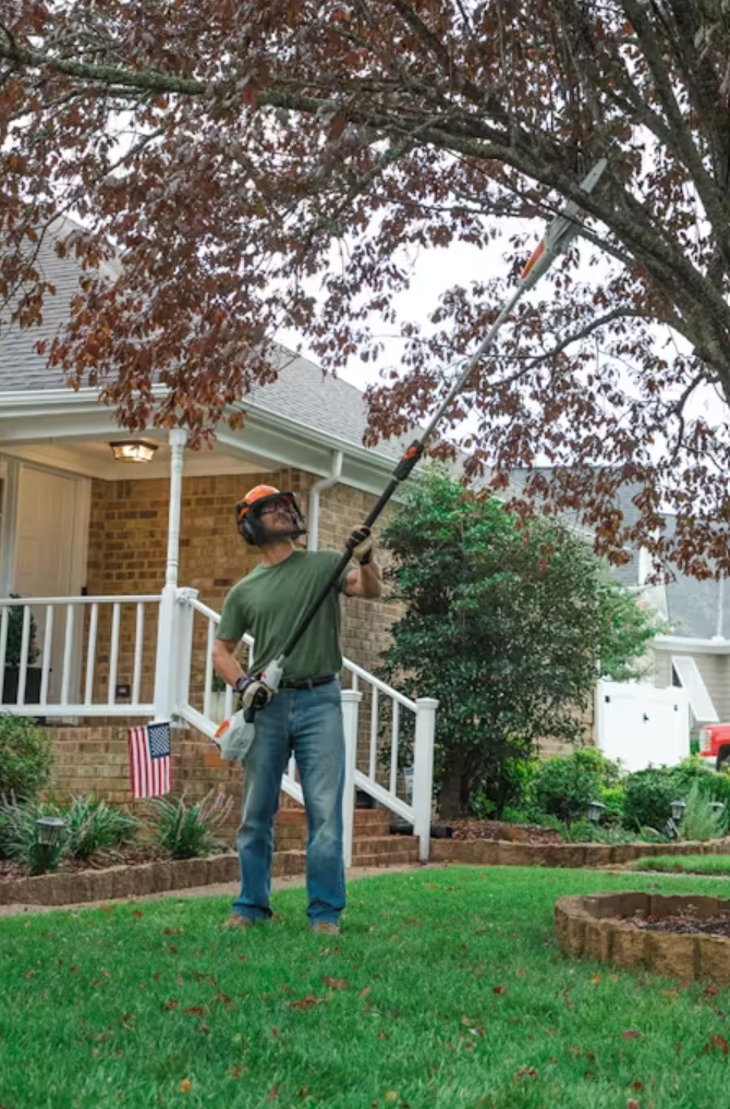 STIHL HTA 50 Battery-Powered Cordless Pole Pruner - Lightweight Tree Trimmer for Garden, Yard & Landscaping Maintenance