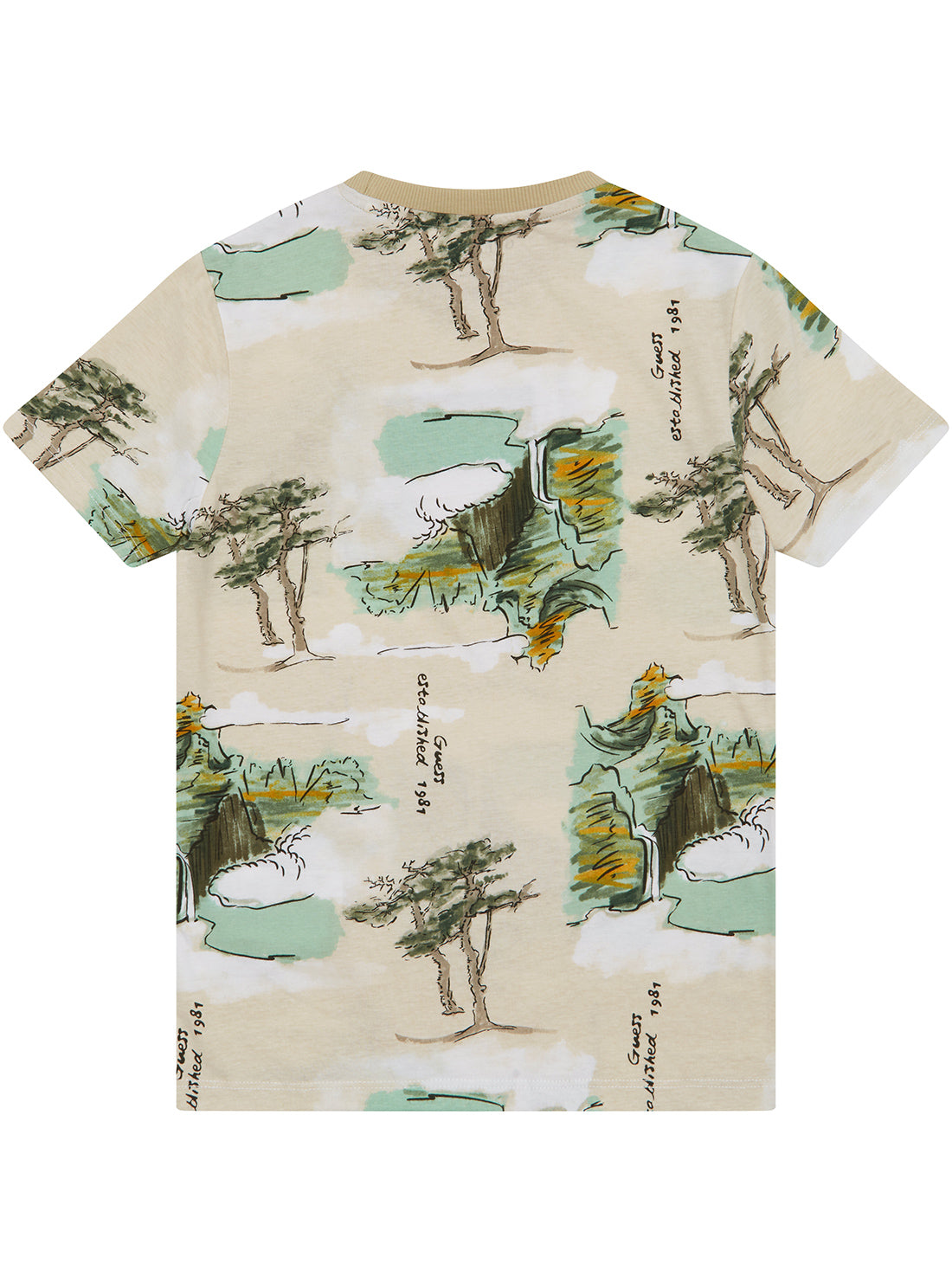 Green Short Sleeve T-Shirt for Men & Women | Comfortable Cotton Tee (Sizes 7-16) | Perfect for Casual Wear, Summer Outfits & Everyday Comfort