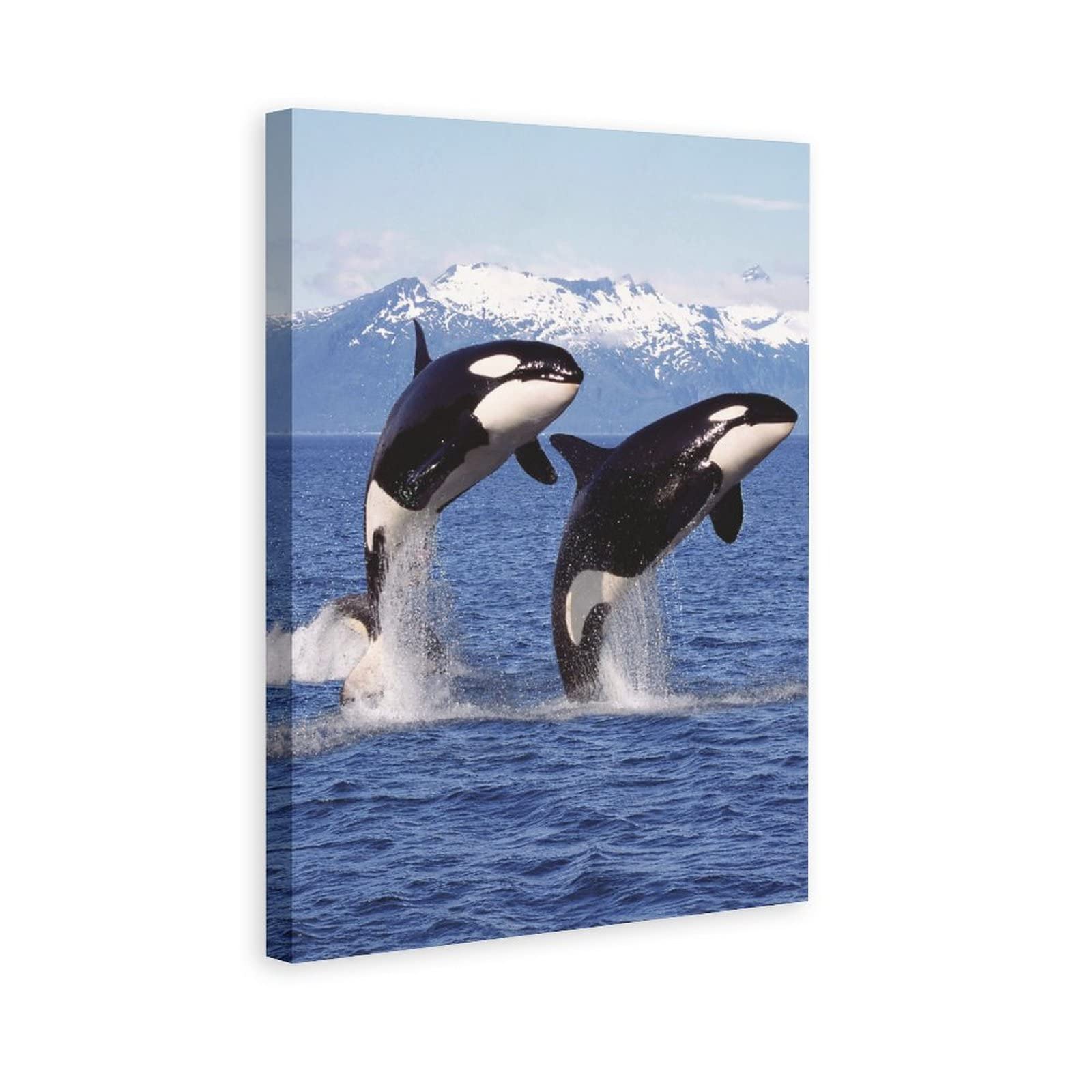 Orca Whale Canvas Wall Art - Set of 2 Framed Ocean Animal Prints (16x24 Inches) for Living Room, Bedroom & Office Decor | Ready to Hang Marine Life Paintings | Perfect for Coastal, Nautical & Nature-Themed Interiors