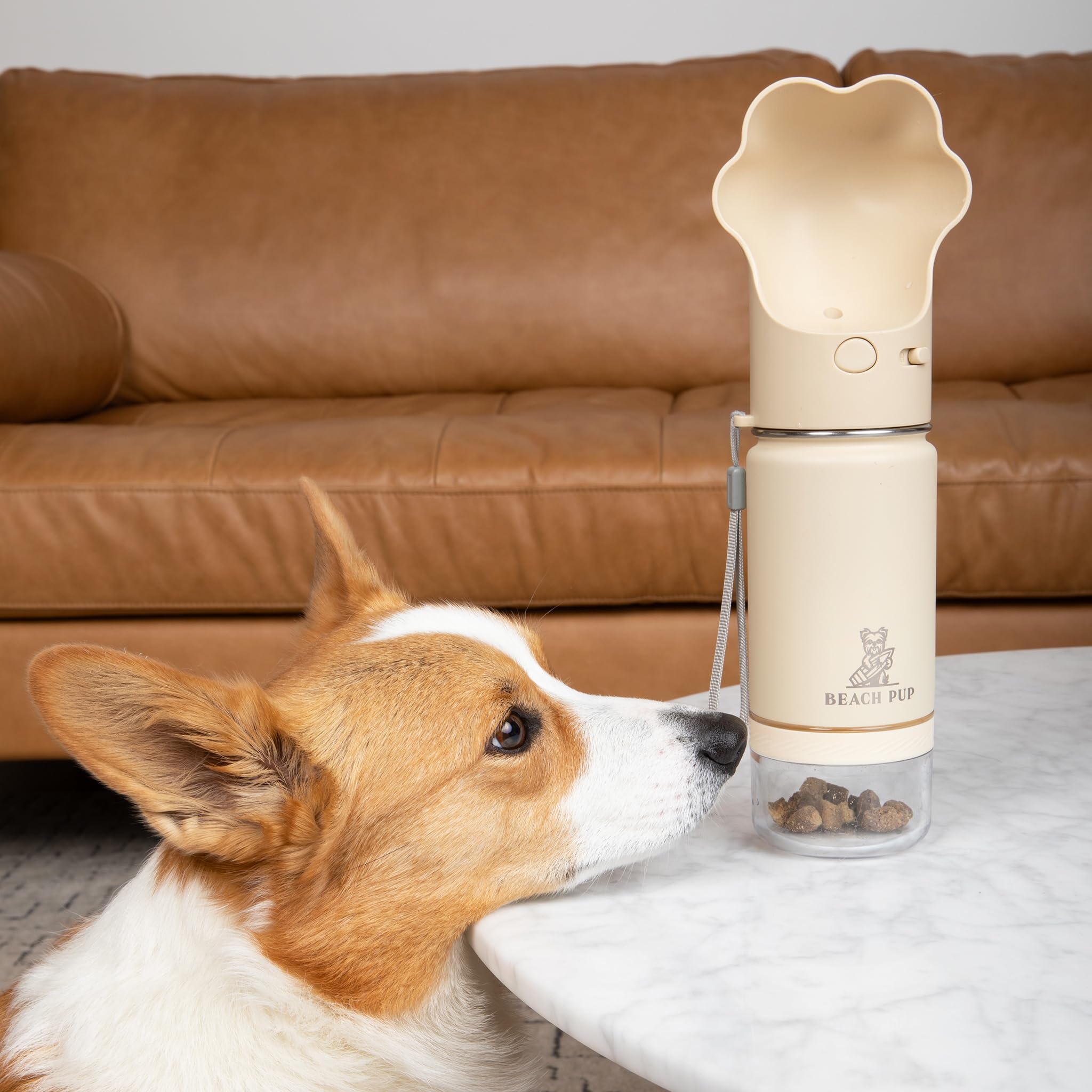 Stainless Steel Portable Dog Water Bottle with Food Container - 10 oz Leak-Proof Pet Water Dispenser with Bowl - Cream Color for Outdoor Hiking, Travel & Walks