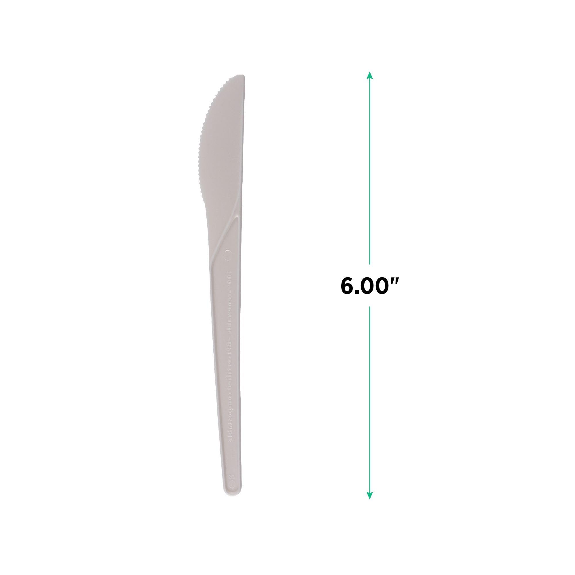 ECO-Friendly Compostable PLA Plastic Utensils - 6