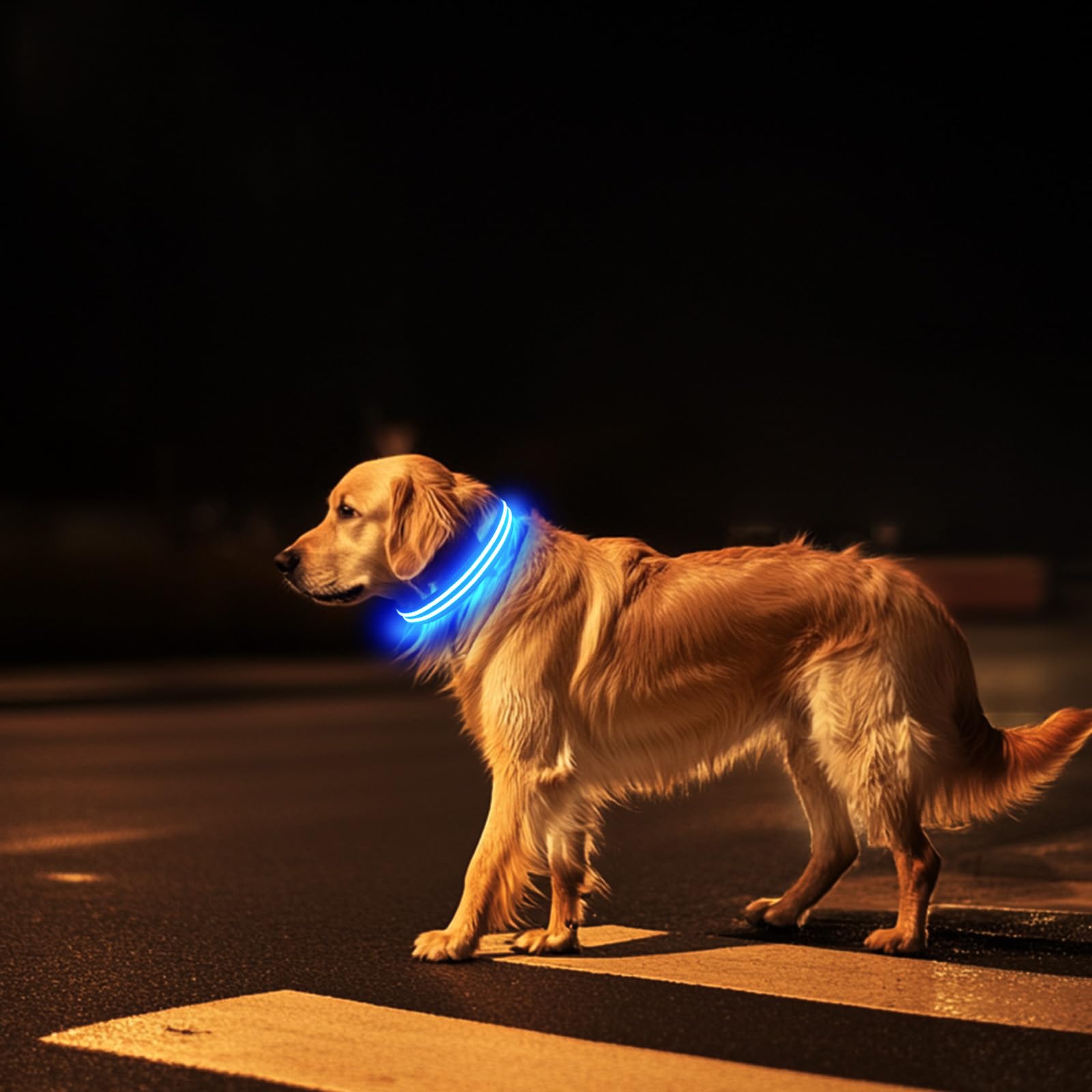 Rechargeable LED Dog Collar - Waterproof Flashing Safety Collar with Glow in The Dark Light for Small Medium Large Dogs | Night Walking, Jogging, Camping & Outdoor Activities