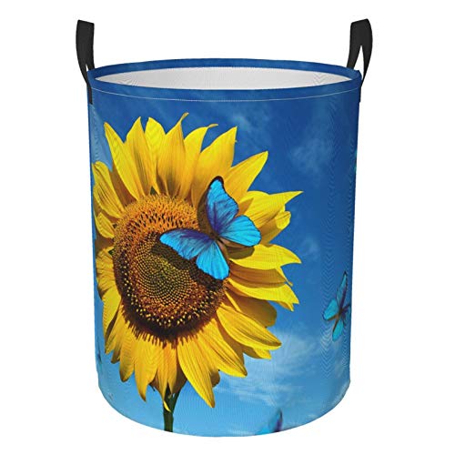 Sunflowers Blue Butterflies