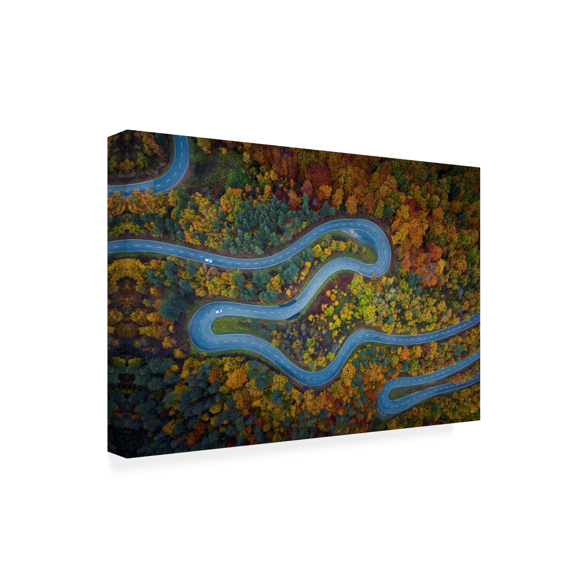 Trademark Fine Art 'Autumn Explodes' Canvas Wall Art by Jose Manuel Martin - Stunning Fall Landscape Painting for Living Room, Bedroom & Office Decor