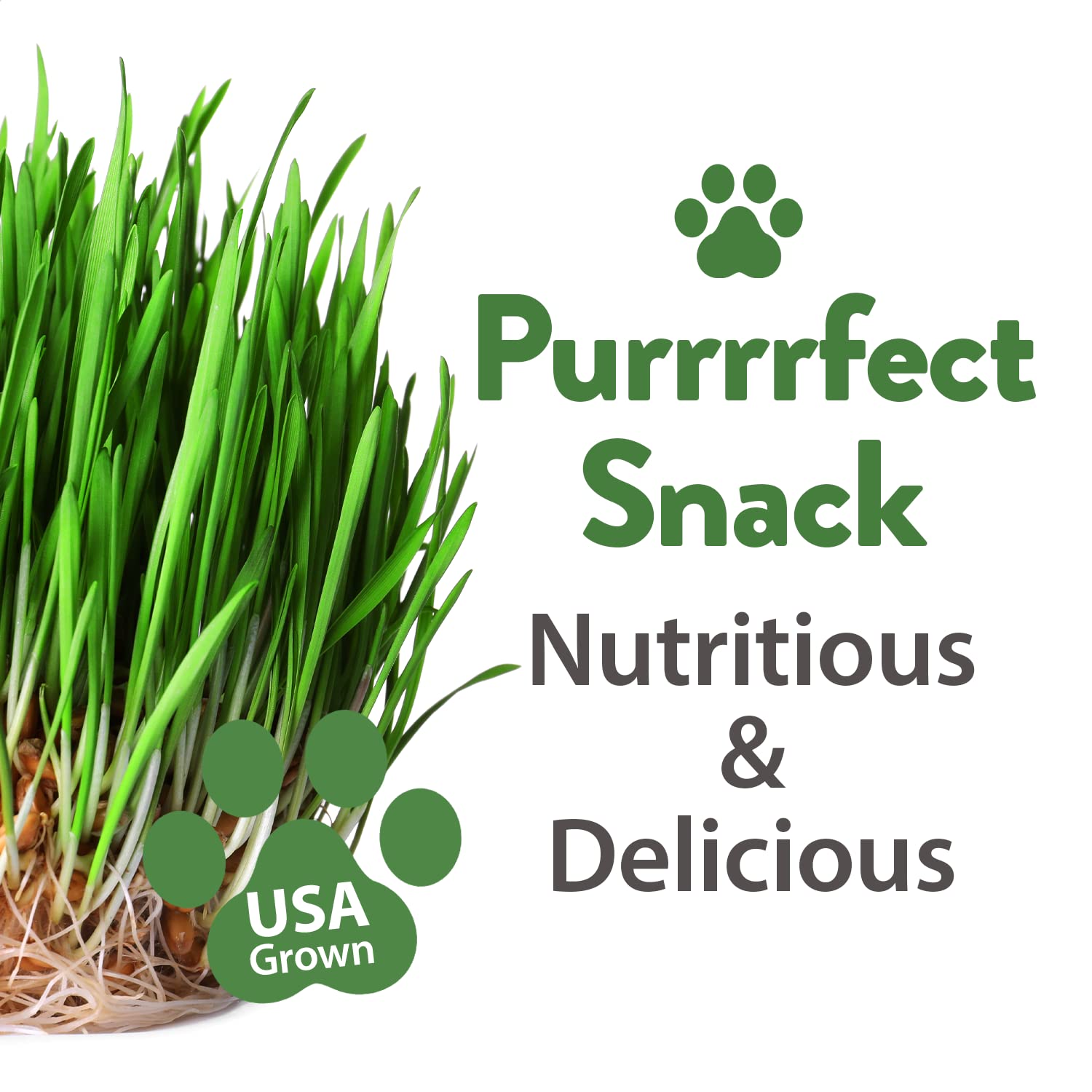 **Organic HOME GROWN Cat Grass Seeds for Indoor Cats - Bulk Heirloom Cat Grass Seed Refill Kit (4-Pack) - Perfect for Cat Litter Box, Scratching Post & Play Areas**